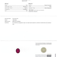 Jewelry Scan Report