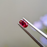 0.70 Ct. Ruby from Burma (Myanmar) Life Style