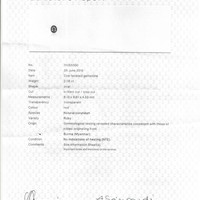 Jewelry Scan Report