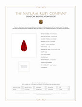 Jewelry Scan Report