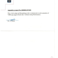 4.05 Ct. Ruby from Mozambique Scan Report