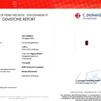 Jewelry Scan Report