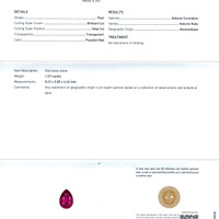 Jewelry Scan Report