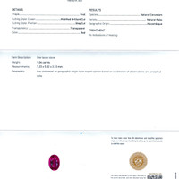 Jewelry Scan Report