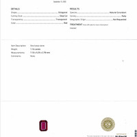 Jewelry Scan Report