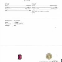 Jewelry Scan Report