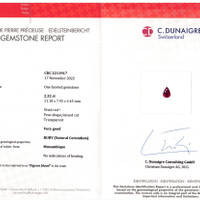 Jewelry Scan Report