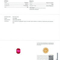 Jewelry Scan Report