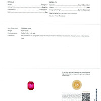 Jewelry Scan Report