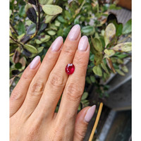 3.01 Ct. Ruby from Burma (Myanmar) Life Style
