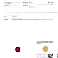 1.21 Ct. Ruby from Mozambique Scan Report