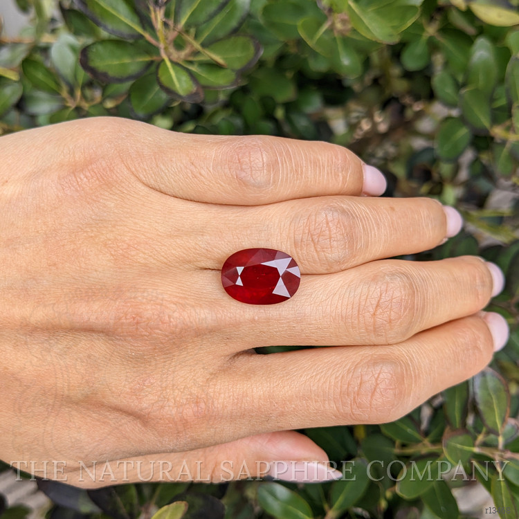 11.06 Ct. Ruby from Burma (Myanmar)