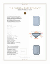 Jewelry 3 D Scan Report