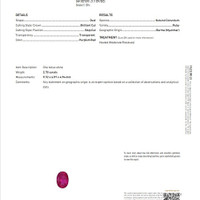 2.70 Ct. Ruby from Burma (Myanmar) Scan Report