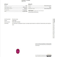 2.70 Ct. Purplish Red Ruby from Burma (Myanmar) Scan Report