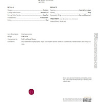 Jewelry Scan Report