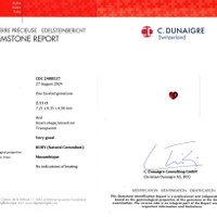 Jewelry Scan Report