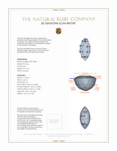 Jewelry 3 D Scan Report