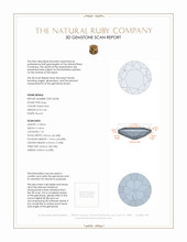 Jewelry 3 D Scan Report