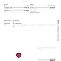 Jewelry Scan Report
