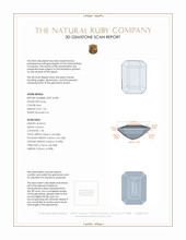 Jewelry 3 D Scan Report