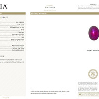 3.04 Ct. Star Ruby from Burma (Myanmar) Scan Report
