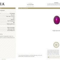 Jewelry Scan Report