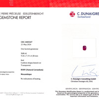 Jewelry Scan Report