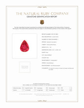 Jewelry Scan Report