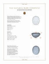 Jewelry 3 D Scan Report