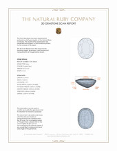 Jewelry 3 D Scan Report