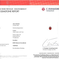 Jewelry Scan Report