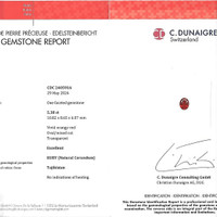 Jewelry Scan Report