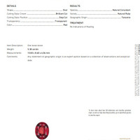 Jewelry Scan Report