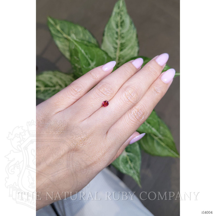 0.42 Ct. Ruby from Mozambique