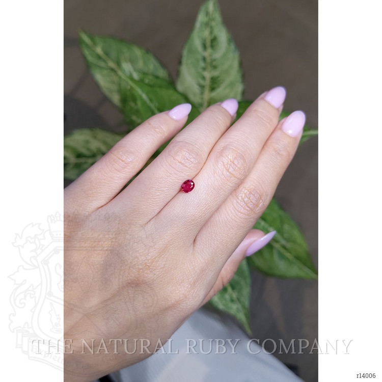 0.45 Ct. Ruby from Mozambique