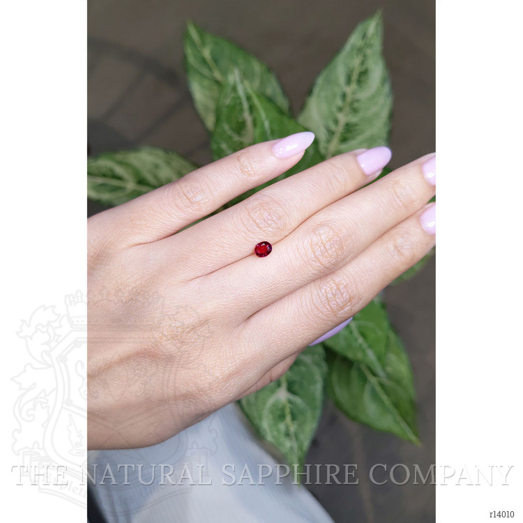 0.52 Ct. Ruby from Mozambique
