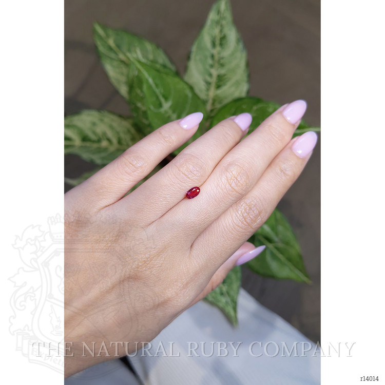 0.53 Ct. Ruby from Mozambique
