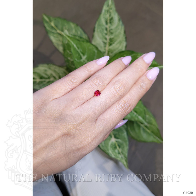 0.66 Ct. Ruby from Mozambique