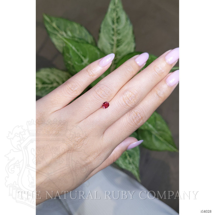 0.44 Ct. Ruby from Mozambique