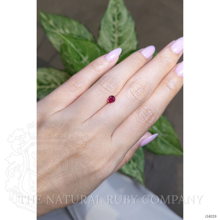 0.44 Ct. Ruby from Mozambique