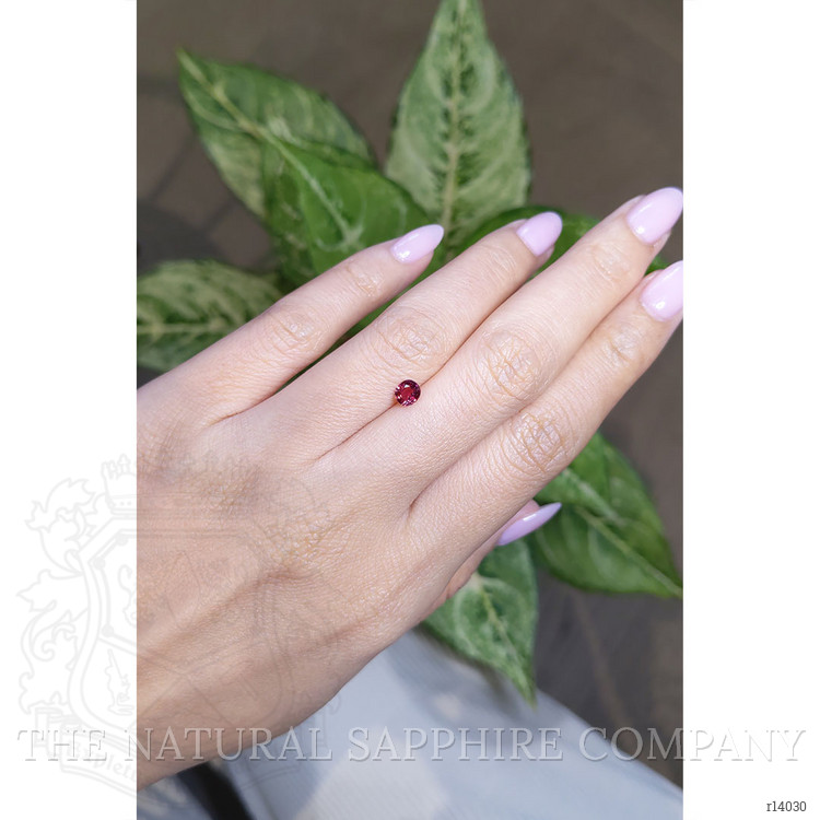0.45 Ct. Ruby from Mozambique