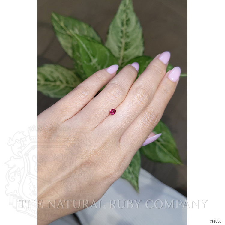 0.51 Ct. Ruby from Mozambique