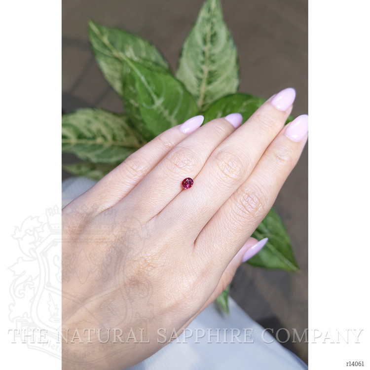0.54 Ct. Ruby from Mozambique