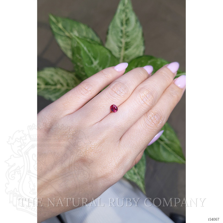 0.62 Ct. Ruby from Mozambique