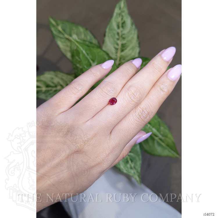 0.77 Ct. Ruby from Mozambique
