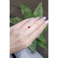 0.53 Ct. Ruby from Mozambique Life Style