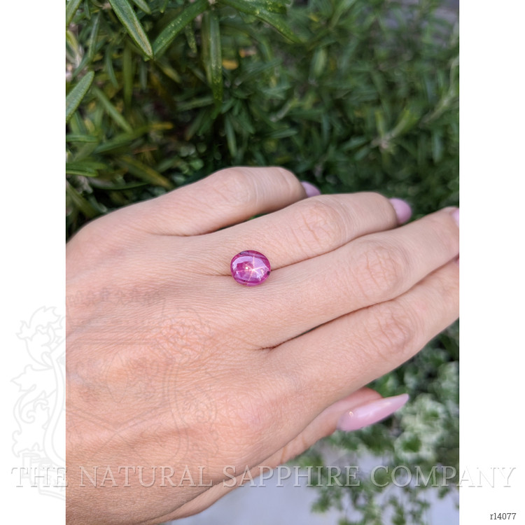 3.61 Ct. Star Ruby from Mozambique