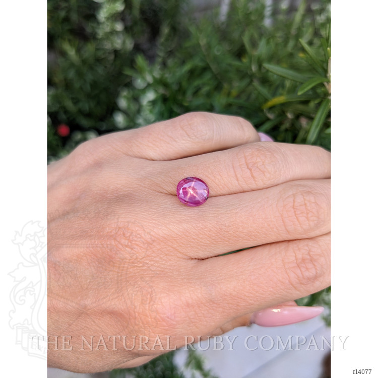 3.61 Ct. Star Ruby from Mozambique