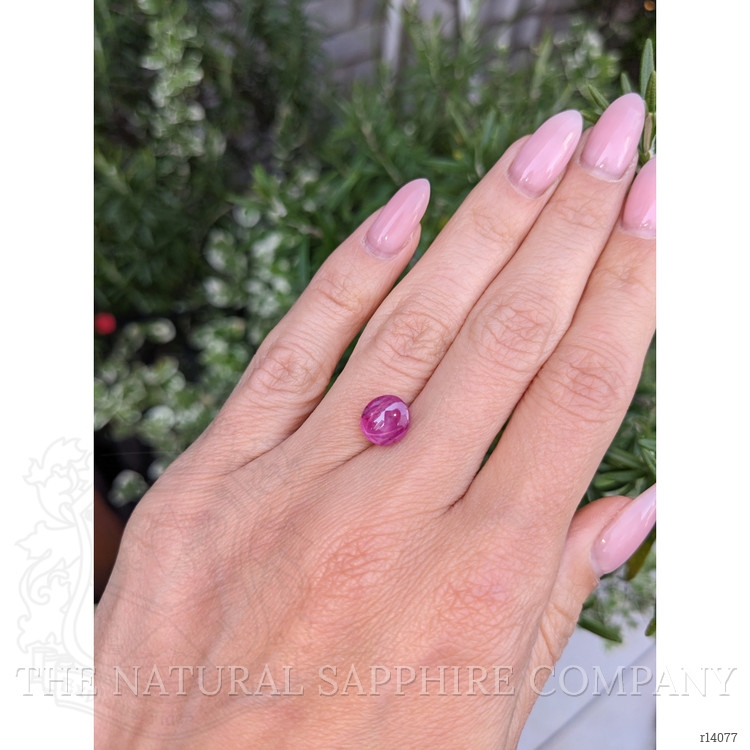 3.61 Ct. Star Ruby from Mozambique